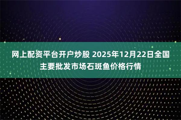 网上配资平台开户炒股 2025年12月22日全国主要批发市场石斑鱼价格行情